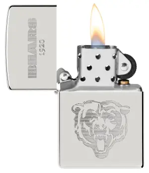 NFL Sterling Silver Collectible – NFC North küçük görsel