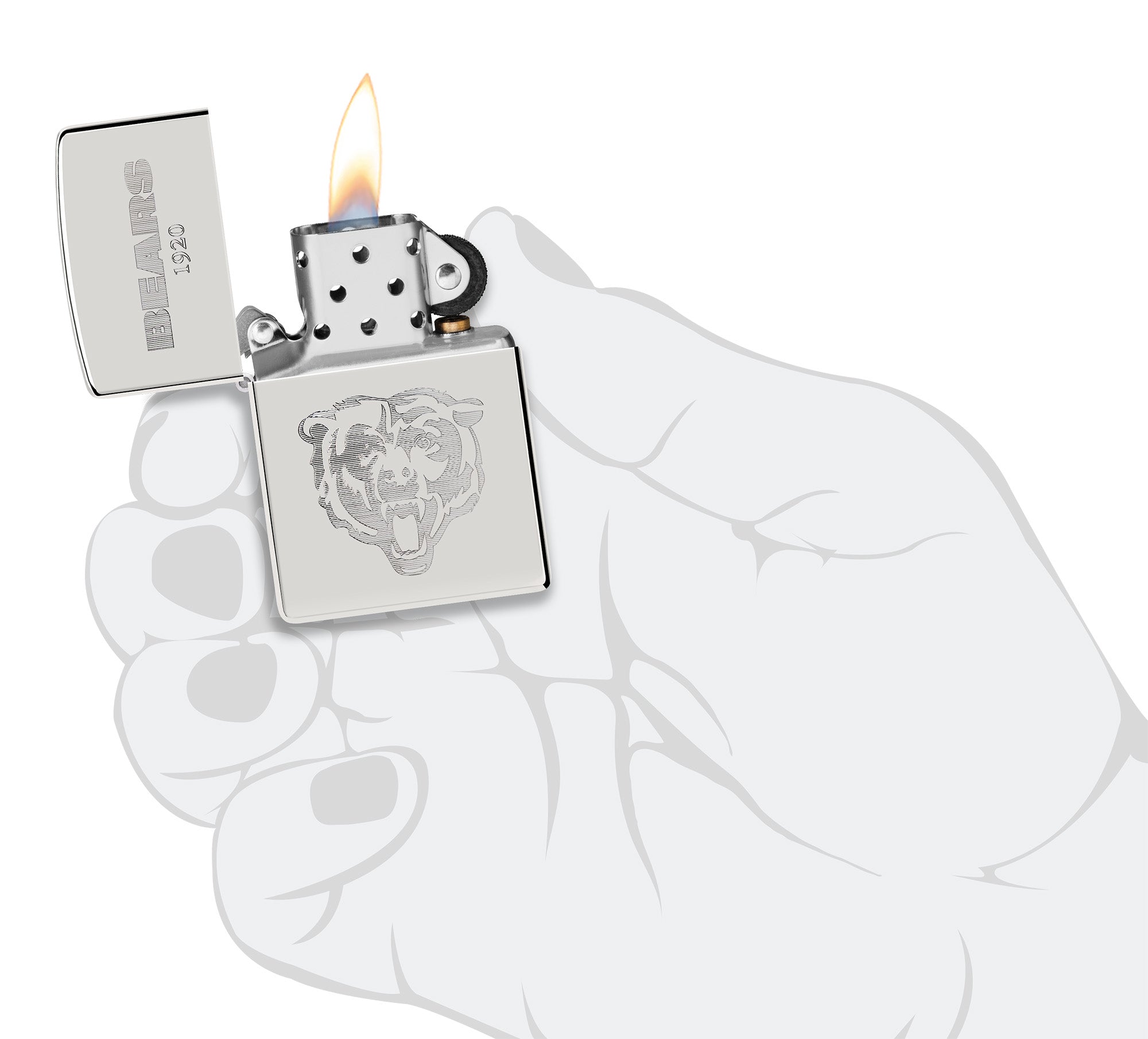 NFL Sterling Silver Collectible – NFC North küçük görsel