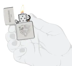 NFL Sterling Silver Collectible – NFC North küçük görsel
