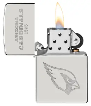 NFL Sterling Silver Collectible – NFC West küçük görsel
