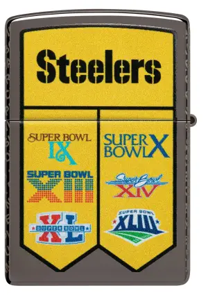 Super Bowl Champions Collectible - Pittsburgh Steelers küçük görsel