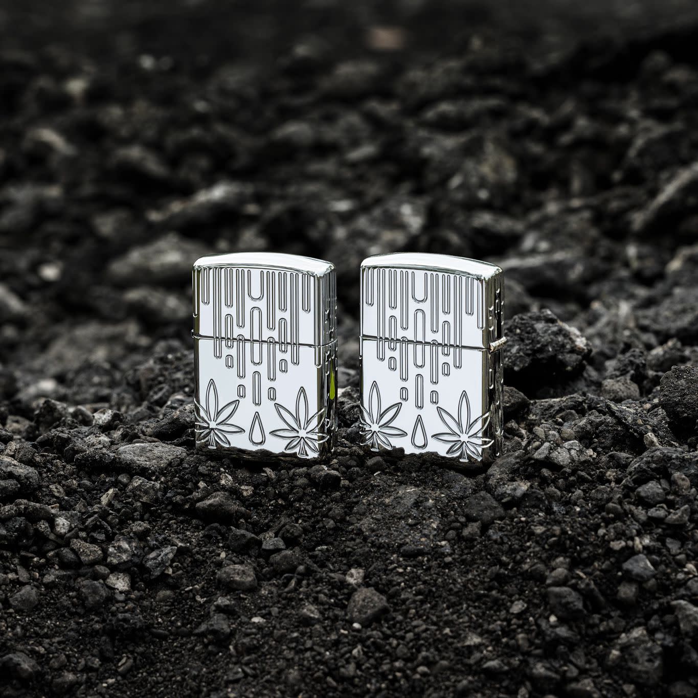 Waxy Leaf Design küçük görsel